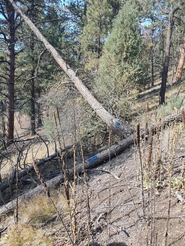 Completed drainage swale alongside mountain driveway